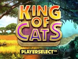 King of Cats Megaways game thumbnail