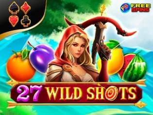27 Wild Shots game thumbnail